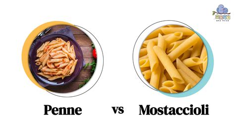 difference between penne and mostaccioli
